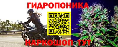 прущие крисы Ливны