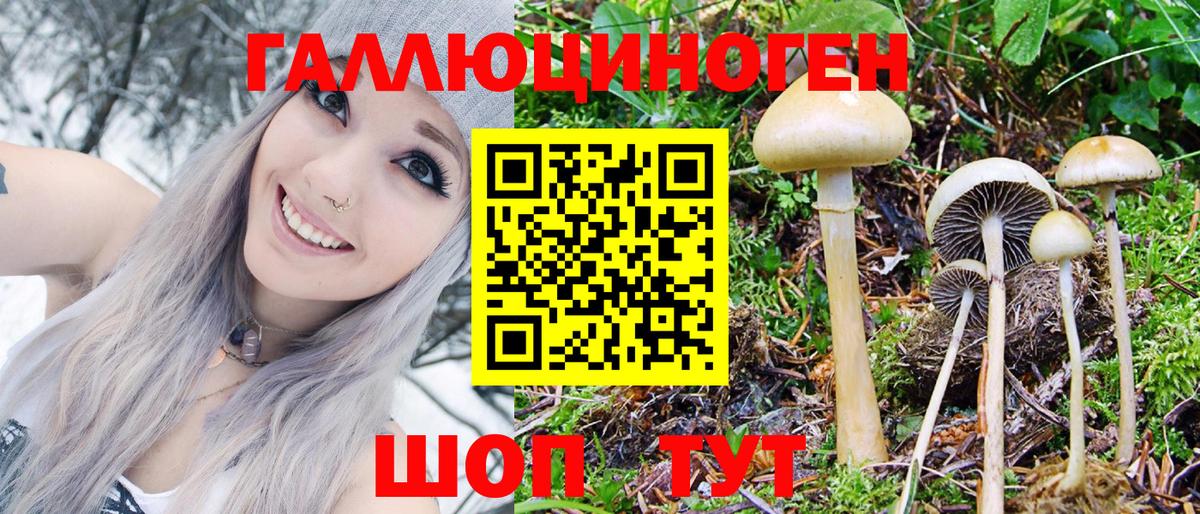 Псилоцибиновые грибы Cubensis Видное